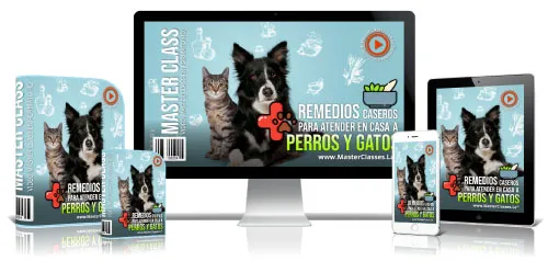 REMEDIOS CASEROS PARA ATENDER EN CASA A PERROS Y GATOS