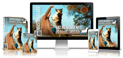 ENTRENAMIENTO PARA PERROS DE HOGAR