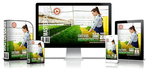 CULTIVOS HIDROPÓNICOS URBANOS