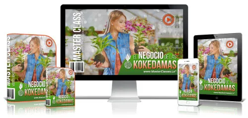 EL NEGOCIO DE LAS KOKEDAMAS
