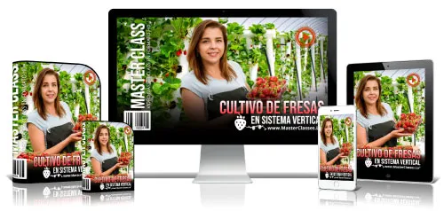 CULTIVO DE FRESAS EN SISTEMA VERTICAL