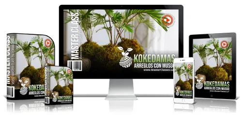 KOKEDAMAS ARREGLOS CON MUSGO